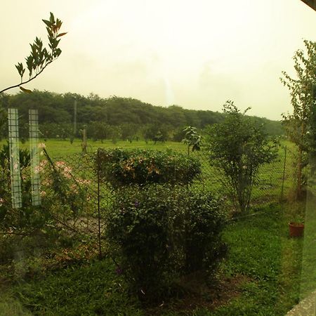 Countryside B&B Ruisui Cameră foto